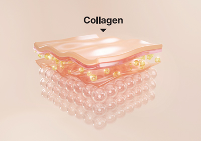 content_collaum3.jpg