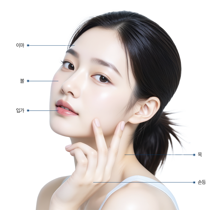 point_box_gouri