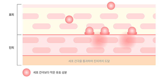 마이크로 니들
