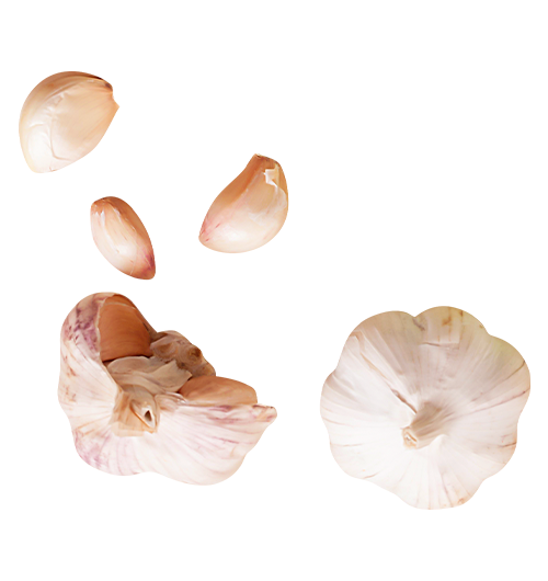 point_box_garlic