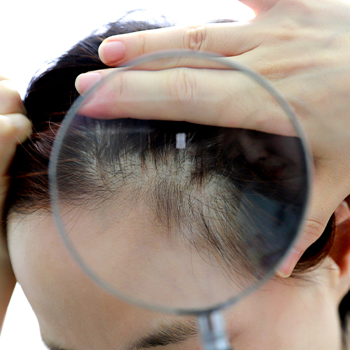 top_box_hair.jpg