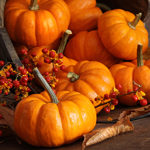top_box_pumpkin.jpg